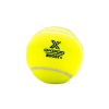 boost-padel-ball-tube-2.jpeg