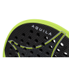 aquila_pala_p_del_starvie.pt03_1.png